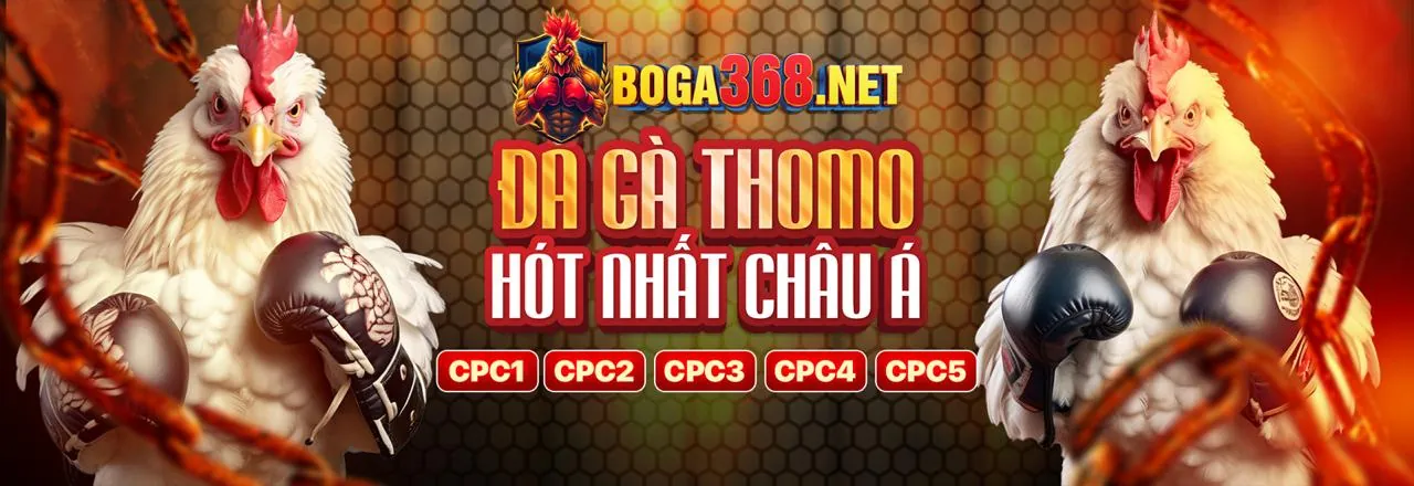 Đá Gà Hello88 Link Vào Hello88 Tháng 12